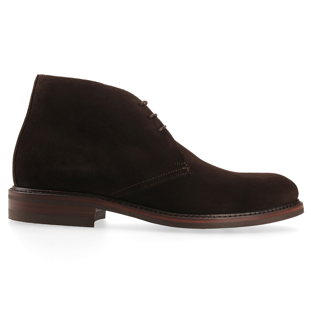 Berwick 1707 320-K4 SUPERBUCK CAFÉ Grandes descuentos