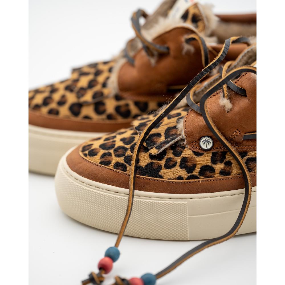Dolfie MOE F 1 - LEOPARD Oferta especial de fábrica