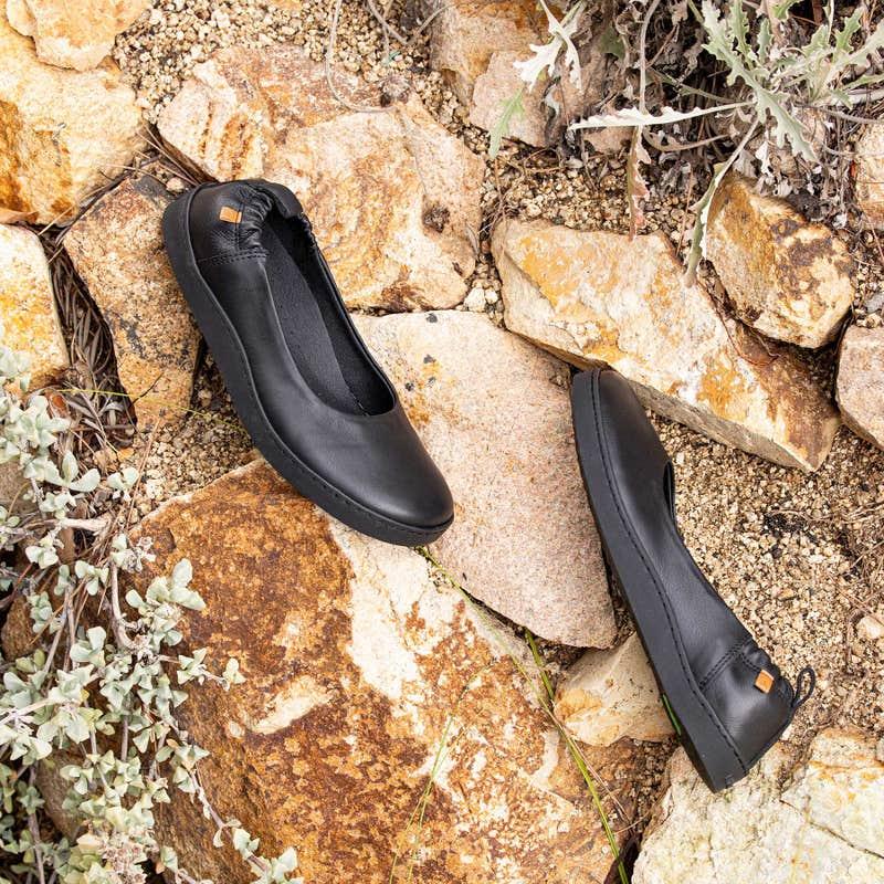 El naturalista 5912 ORIGEN En oferta