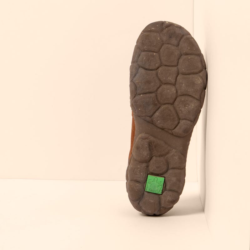 El naturalista 5616 TURTLE Mejor oferta
