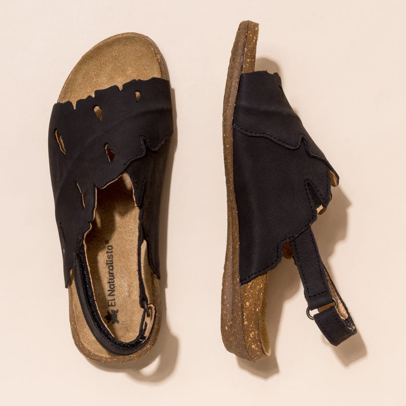 El naturalista N5068 PLEASANT BLACK / WAKATAUA Oferta exclusiva