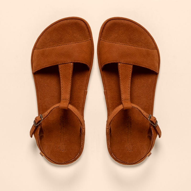El naturalista 5686 SATYA Outlet online