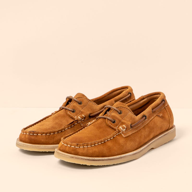 El naturalista 5963 PLANTAE Oferta exclusiva