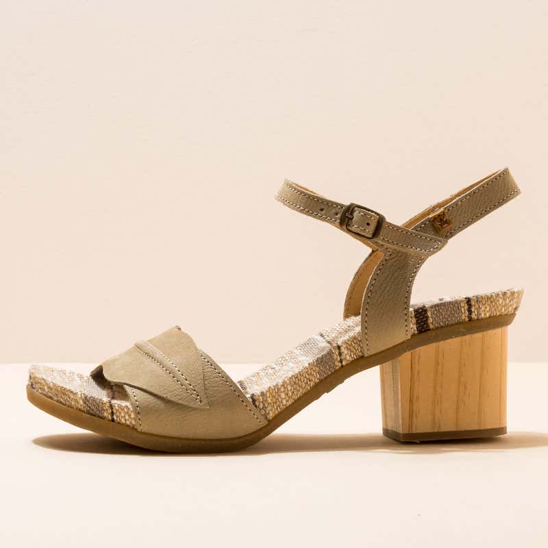 El naturalista N5561 PLEASANT LIQUEN /DEBA 2025