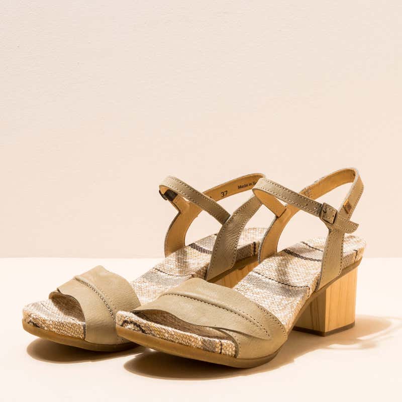 El naturalista N5561 PLEASANT LIQUEN /DEBA 2025