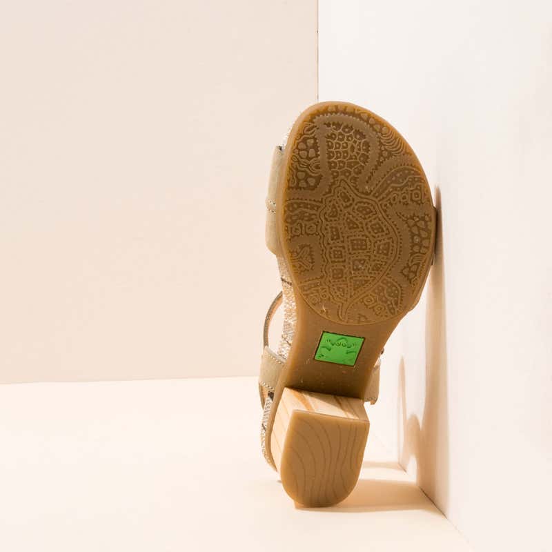 El naturalista N5561 PLEASANT LIQUEN /DEBA 2025