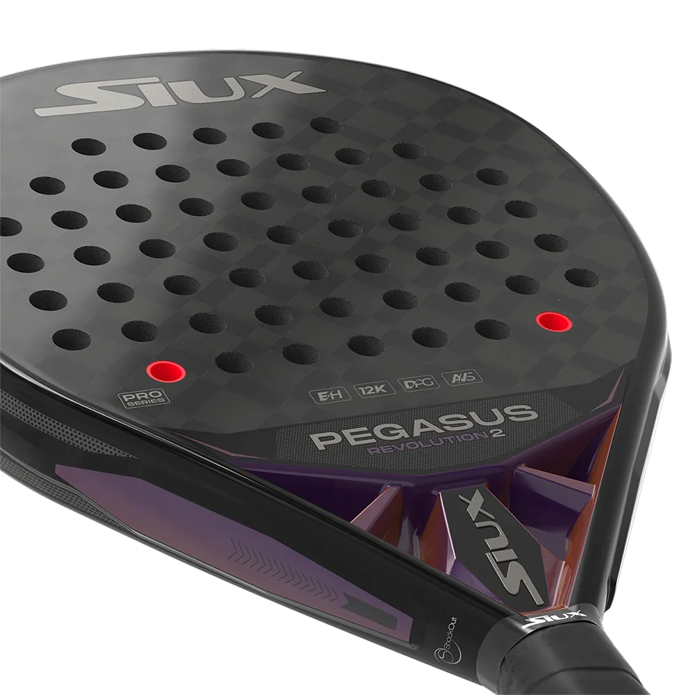 siux SIUX PEGASUS REVOLUTION 2 PRO Precio ultrabajo