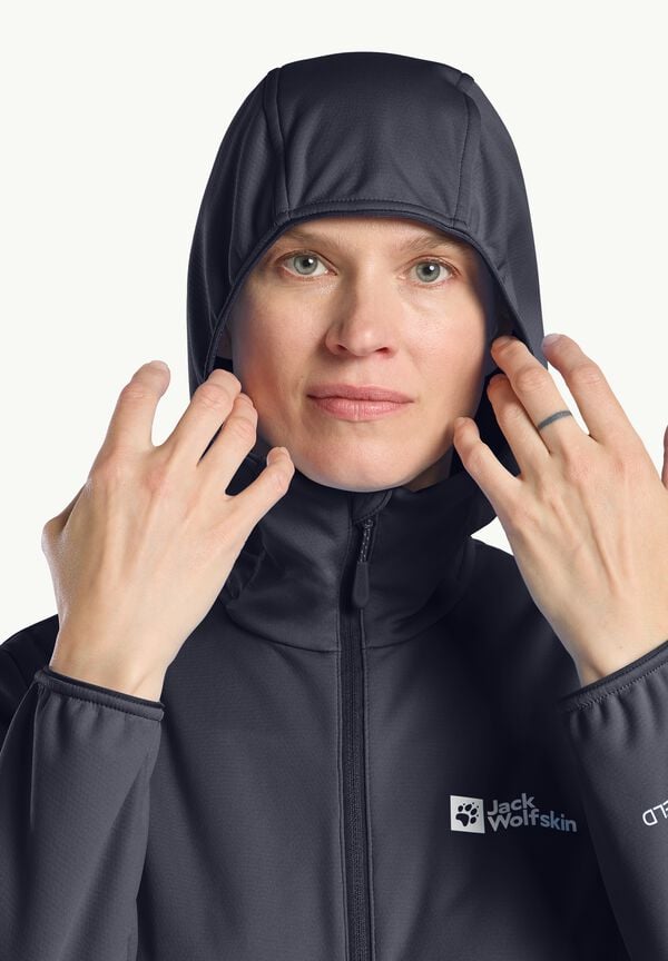 Jack Wolfskin Feldberg Hoody W Solo hoy