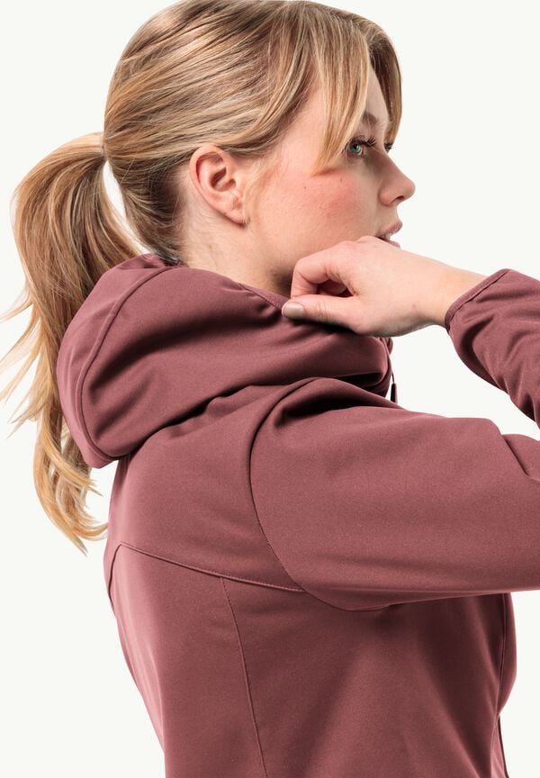 Jack Wolfskin Windhain Hoody W Envío internacional gratuito