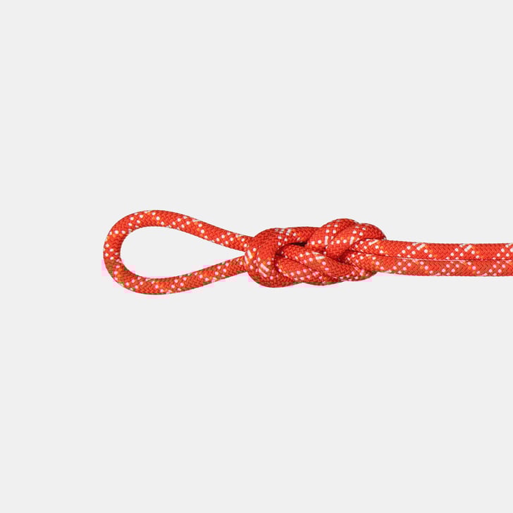 mammut 9.5 Gym Classic Rope 40m Ofertas especiales