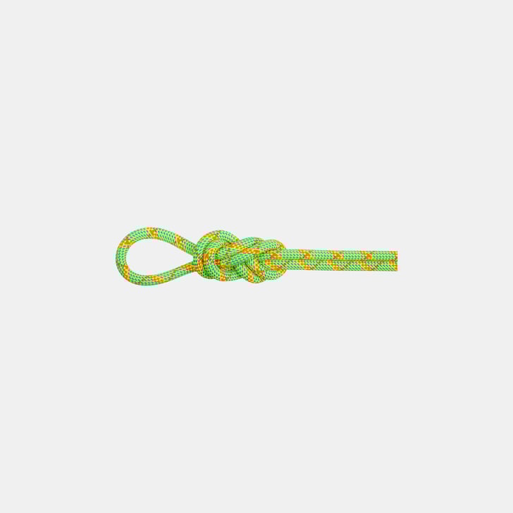mammut 8.0 Alpine Core Protect Dry Rope 50m Venta caliente