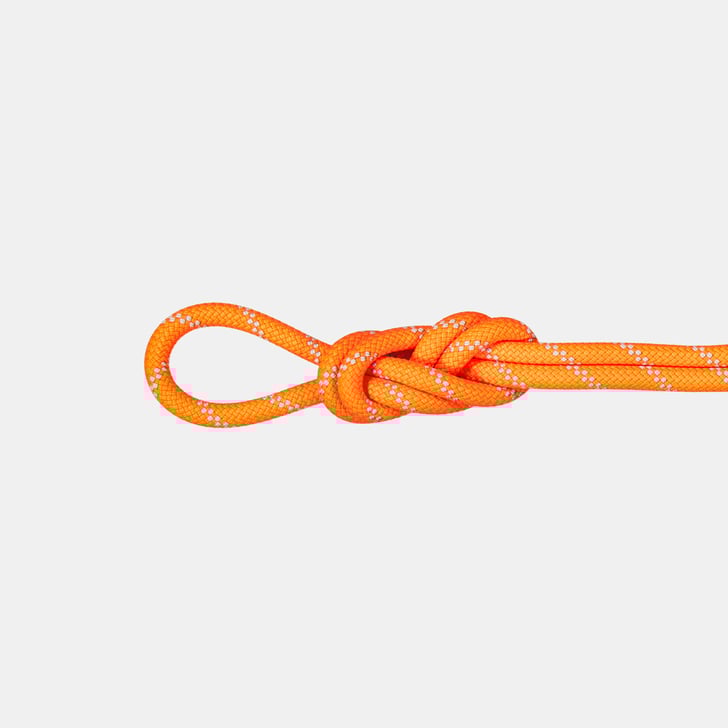 mammut 9.5 Alpine Dry Rope 40m Gran oferta