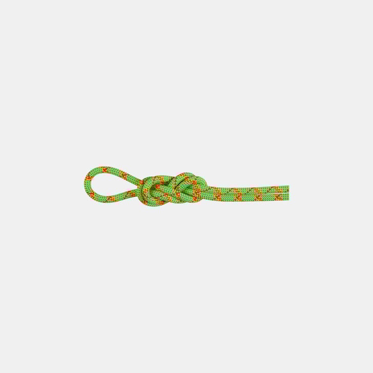mammut 8.0 Alpine Core Protect Dry Rope 30m Los más vendidos