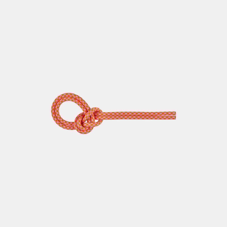 mammut 8.7 Crag Sender Dry Rope 100m Tienda