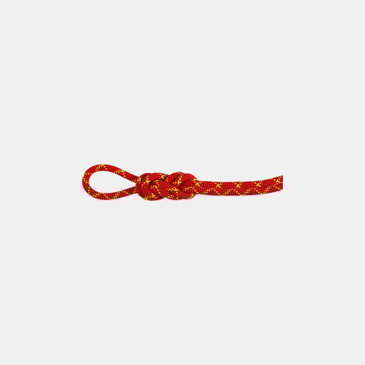 mammut 8.0 Alpine Core Protect Dry Rope 70m Envío gratis