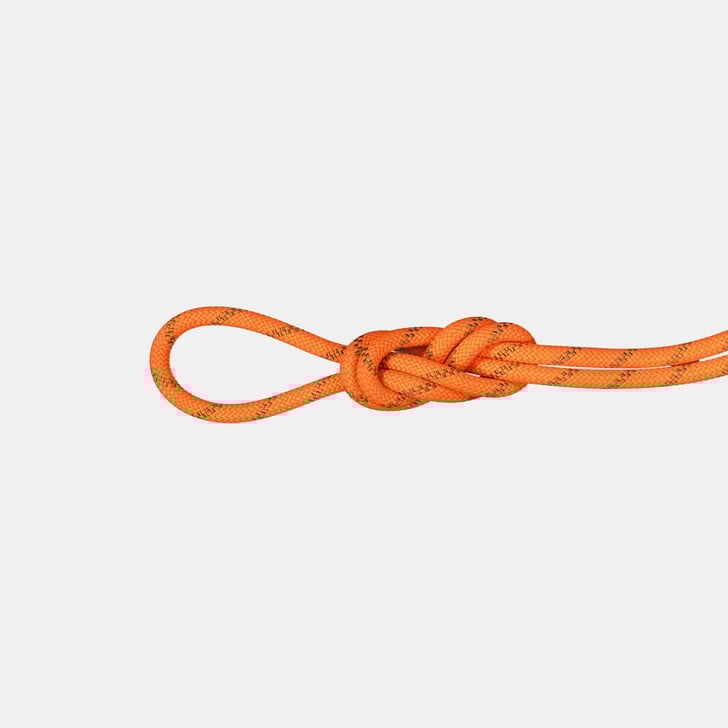 mammut 8.0 Alpine Dry Rope 70m Ventas relámpago