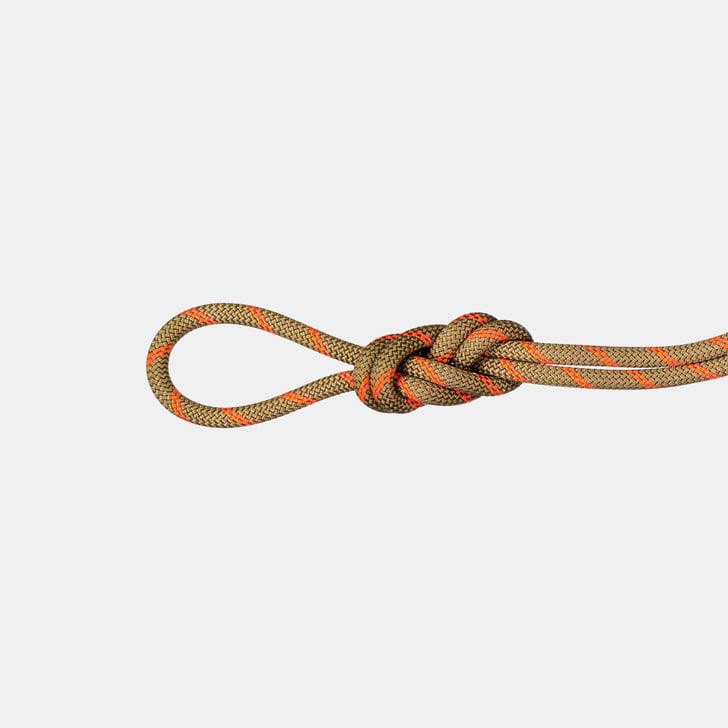 mammut 8.0 Alpine Dry Rope 50m Últimos 3 días